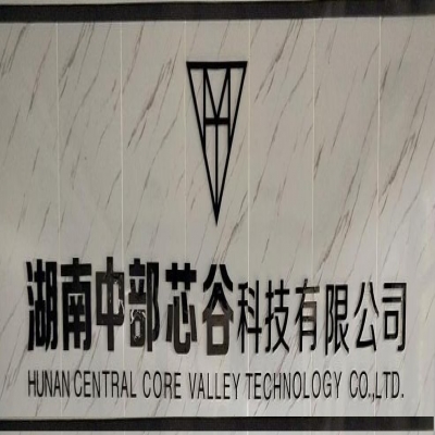 《中部芯谷》公司簡介
